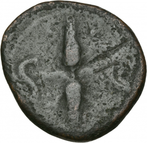 Divus Augustus