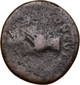 Nerva