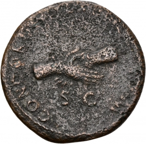 Nerva