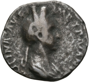 Plotina
