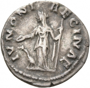 Faustina (Minor)